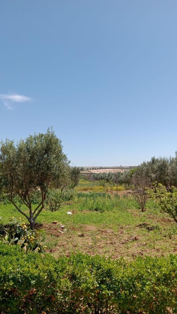 Villa Ferme De Rayan Safí Exterior foto